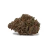 Cactus (AAA+)