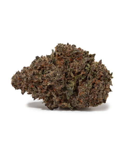 Cactus (AAA+)