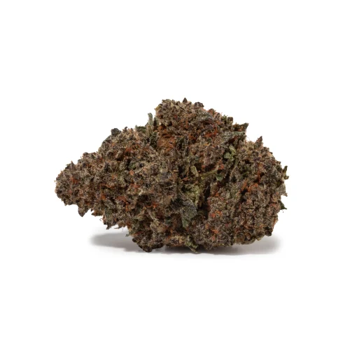 Cactus (AAA+)