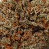 Chocolate OG (AAA+)