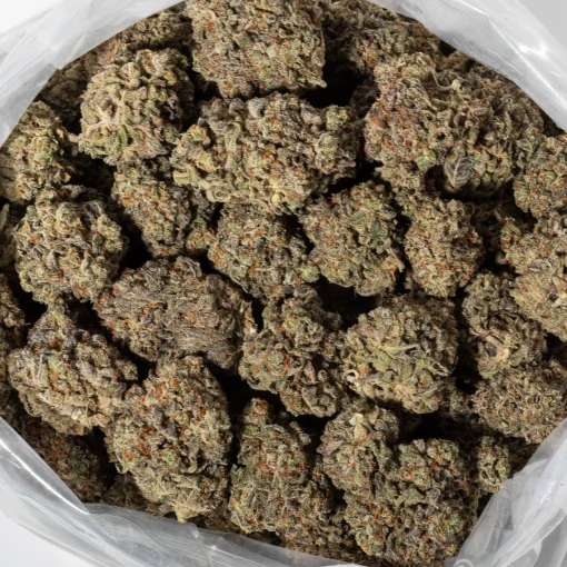 Do Si Dos (AAAA+)