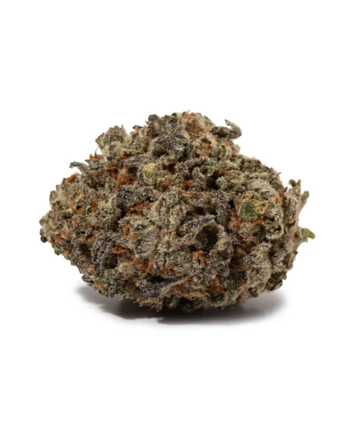 Do Si Dos (AAAA+)
