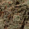 Green Crack (AAAA)