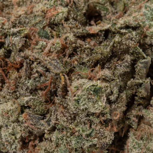 Green Crack (AAAA)