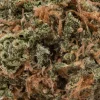 Euphoria (AA+)