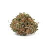 Euphoria (AA+)