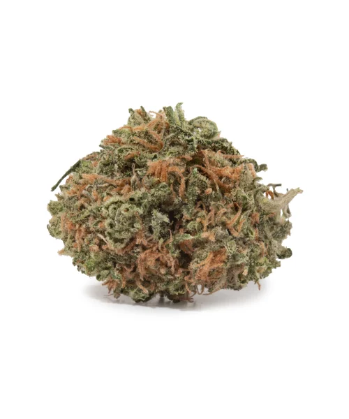 Euphoria (AA+)