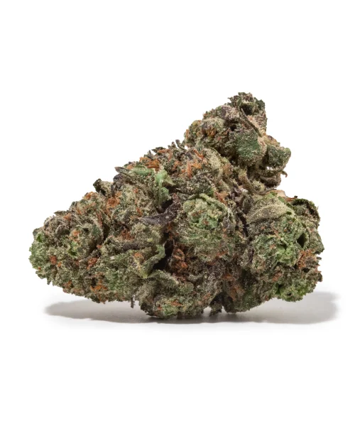 Northern Lights (AAA/AAA+)