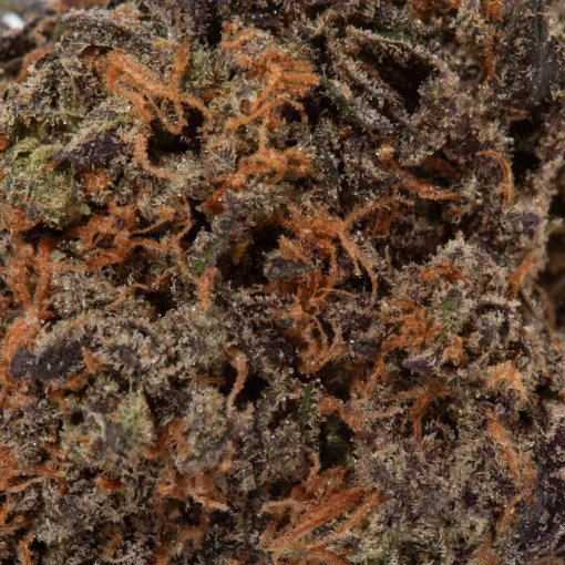 Peanut Butter Breath (AAAA+)