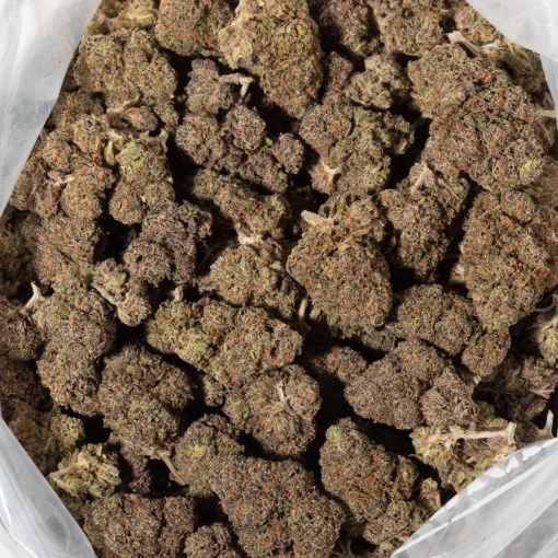 Purple Punch (AAA+)