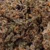 Purple Punch (AAA+)