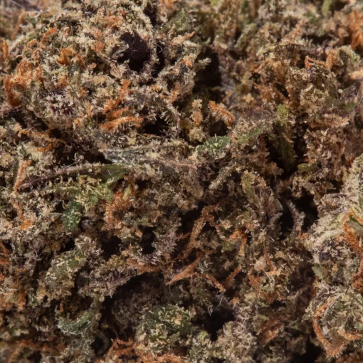 Purple Punch (AAA+)