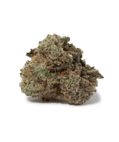 White Rhino Smalls (AAA/AAA+)