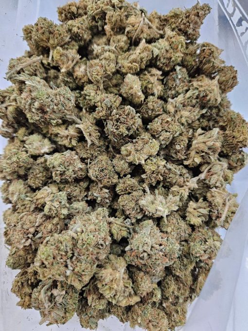 Cookies Kush (AA) - BULK