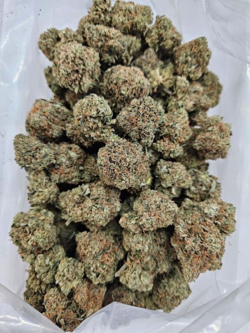 Rockstar (AAAA+) - BULK