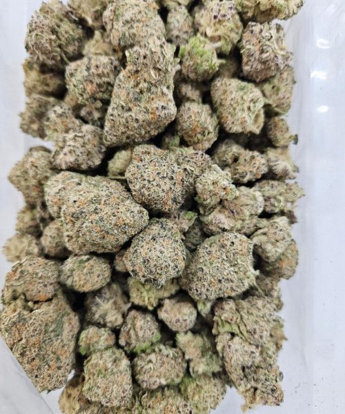 Rhino Ryder (AAAA+) - BULK