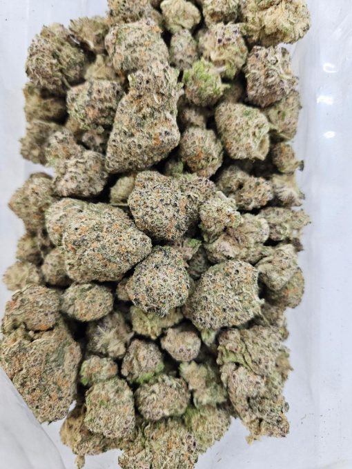 Rhino Ryder (AAAA+) - BULK