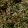 Frosted Fruit Cake (AAAA/Popcorn)