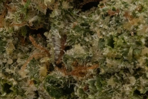 Frosted Fruit Cake (AAAA/Popcorn)