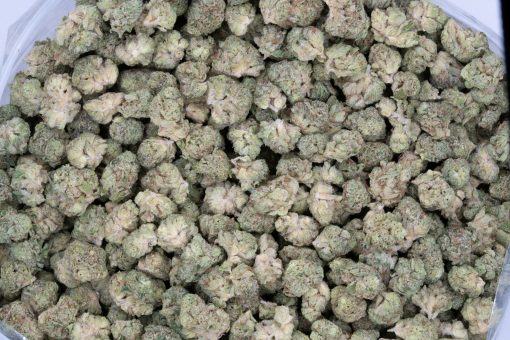 Frosted Fruit Cake (AAAA/Popcorn)