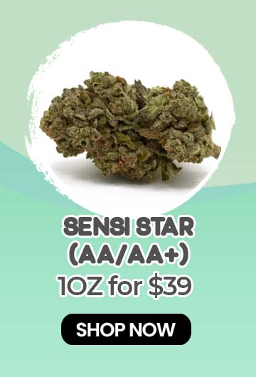 Sensi Star (AA/AA+) - $39