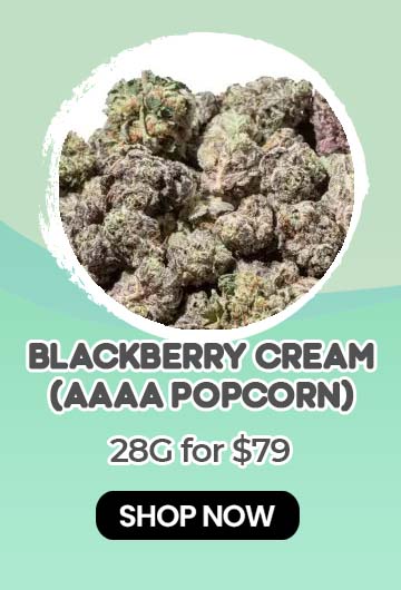 Blackberry Cream (AAAA/Popcorn) - $79