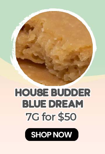 House Budder – Blue Dream (Hybrid) - 7G for $50