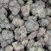 Gelato #33 (AAAA+/Popcorn)