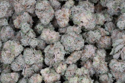 Gelato #33 (AAAA+/Popcorn)