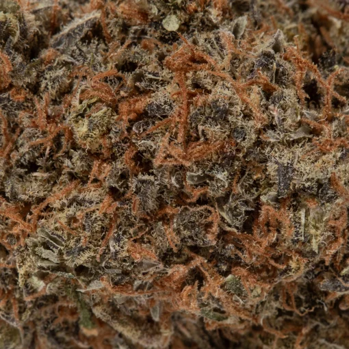 Khalifa Kush (AAA+)