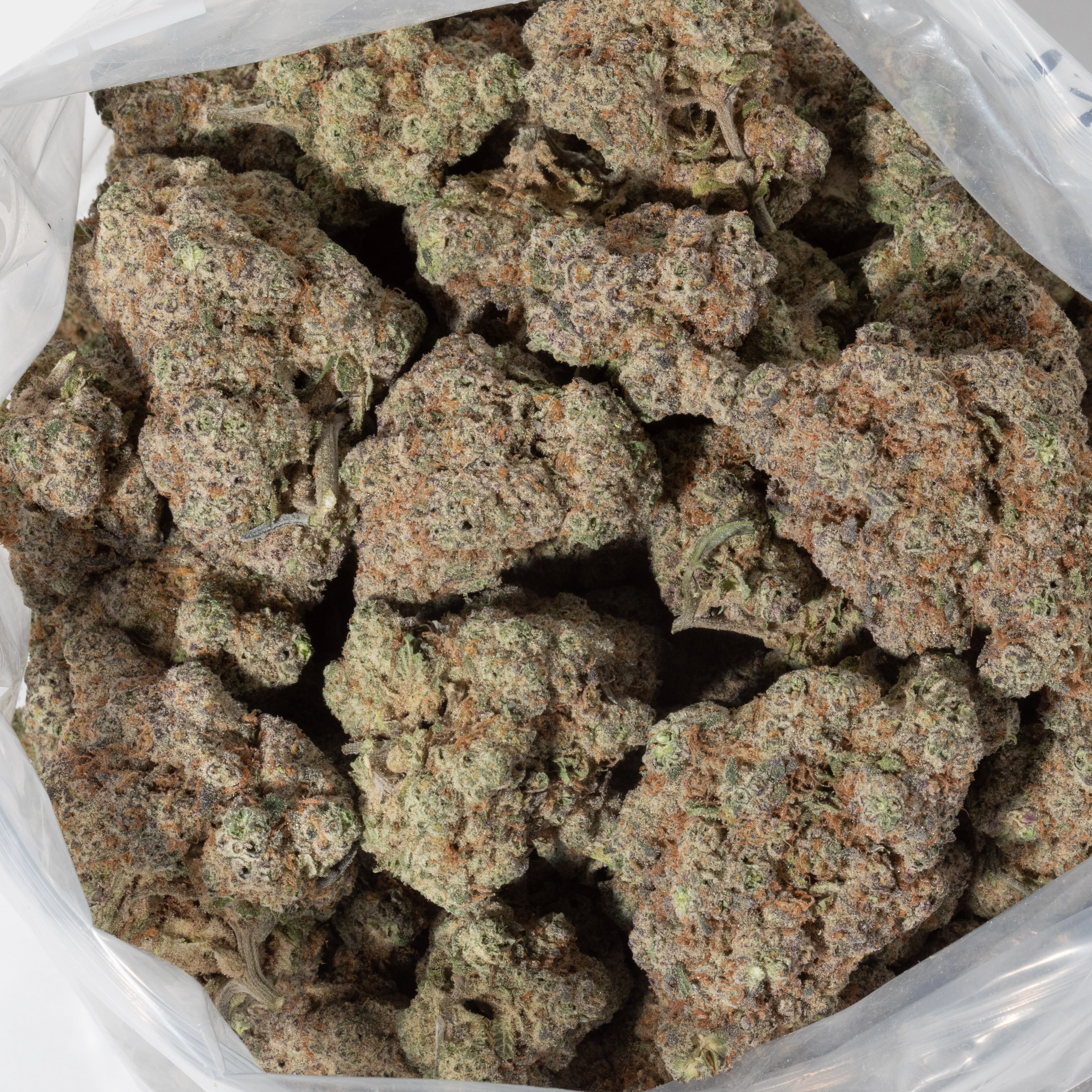 Black Tuna (AAAAA/Craft)