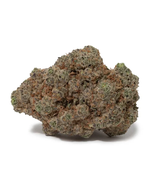 Black Tuna (AAAAA/Craft)