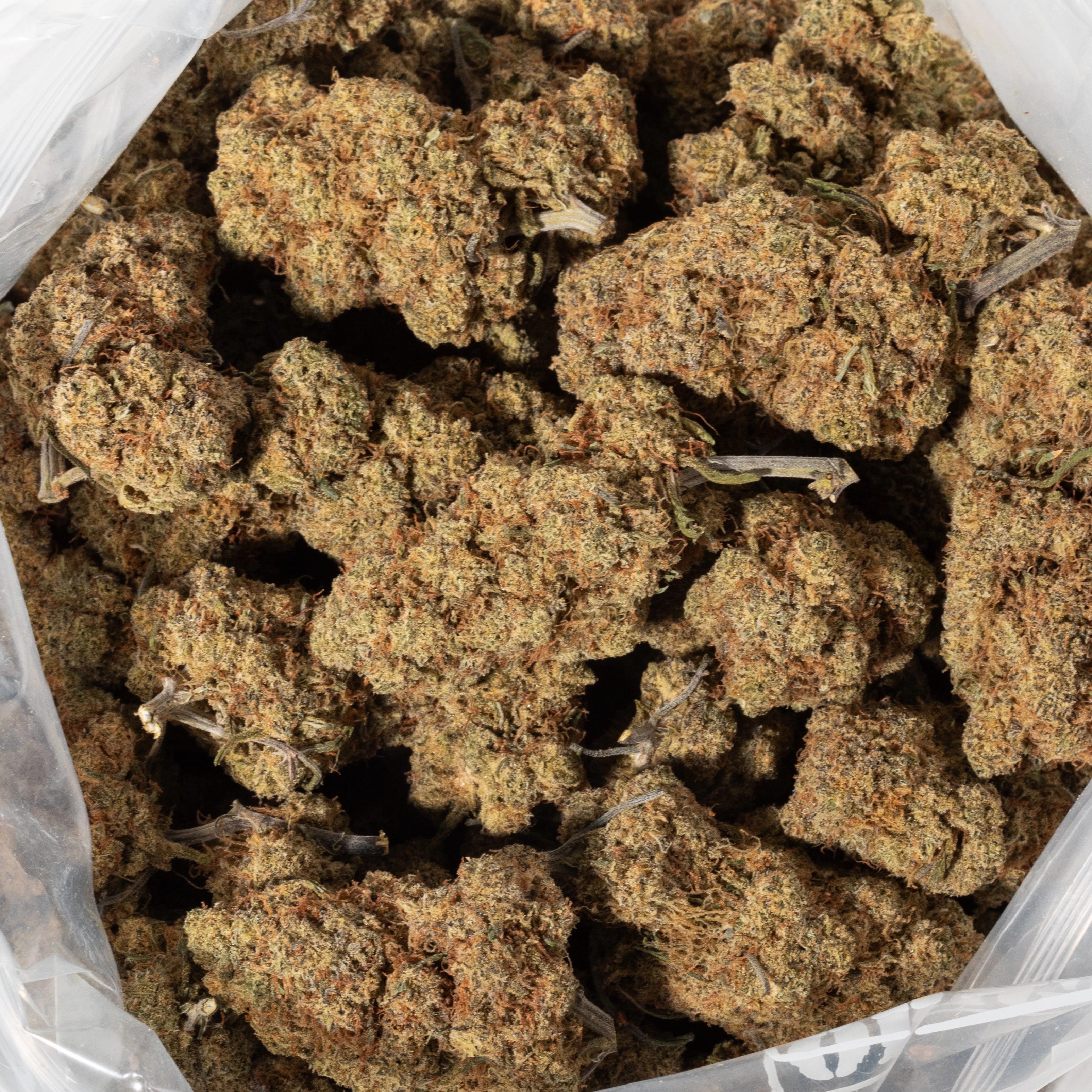 Alien OG (AAA+)