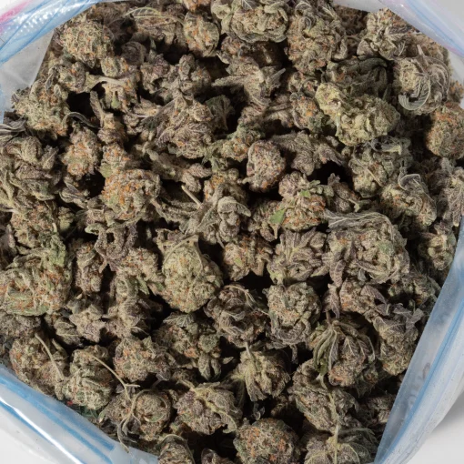 Raspberry Kush (AAA)