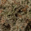 Raspberry Kush (AAA)