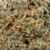 Frosted Fruit Cake (AAAA/Popcorn)