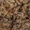 OG Octane (AAAA)
