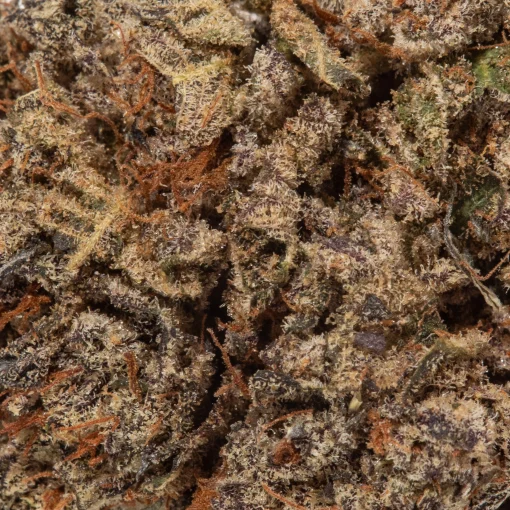 OG Octane (AAAA)