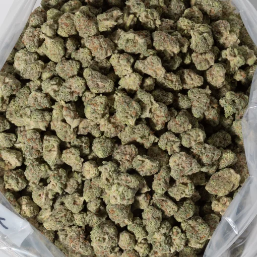 Mac 1 (AAAA+/Popcorn)