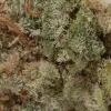 Mac 1 (AAAA+/Popcorn)