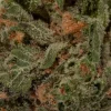 Hell Fire OG (AA/Popcorn)