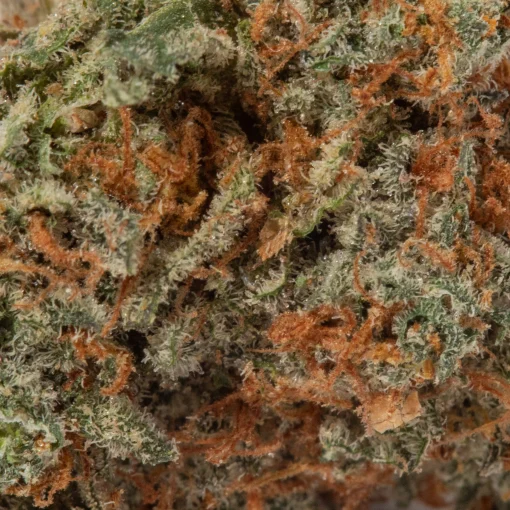 Strawberry Cake (AAAA/Popcorn)