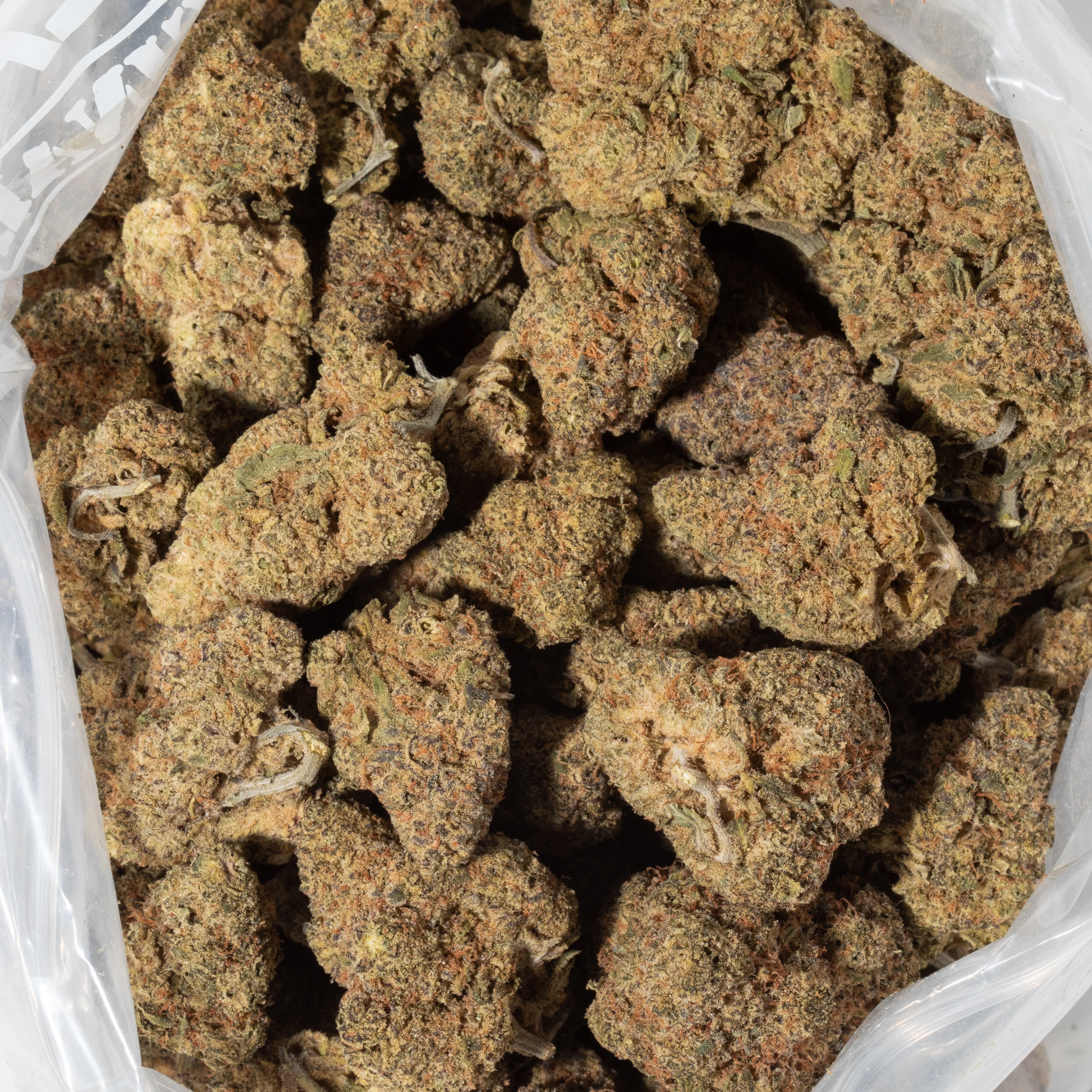 Romulan (AAAA)
