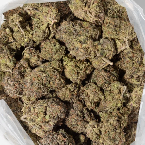 9LB Hammer (AAAA)