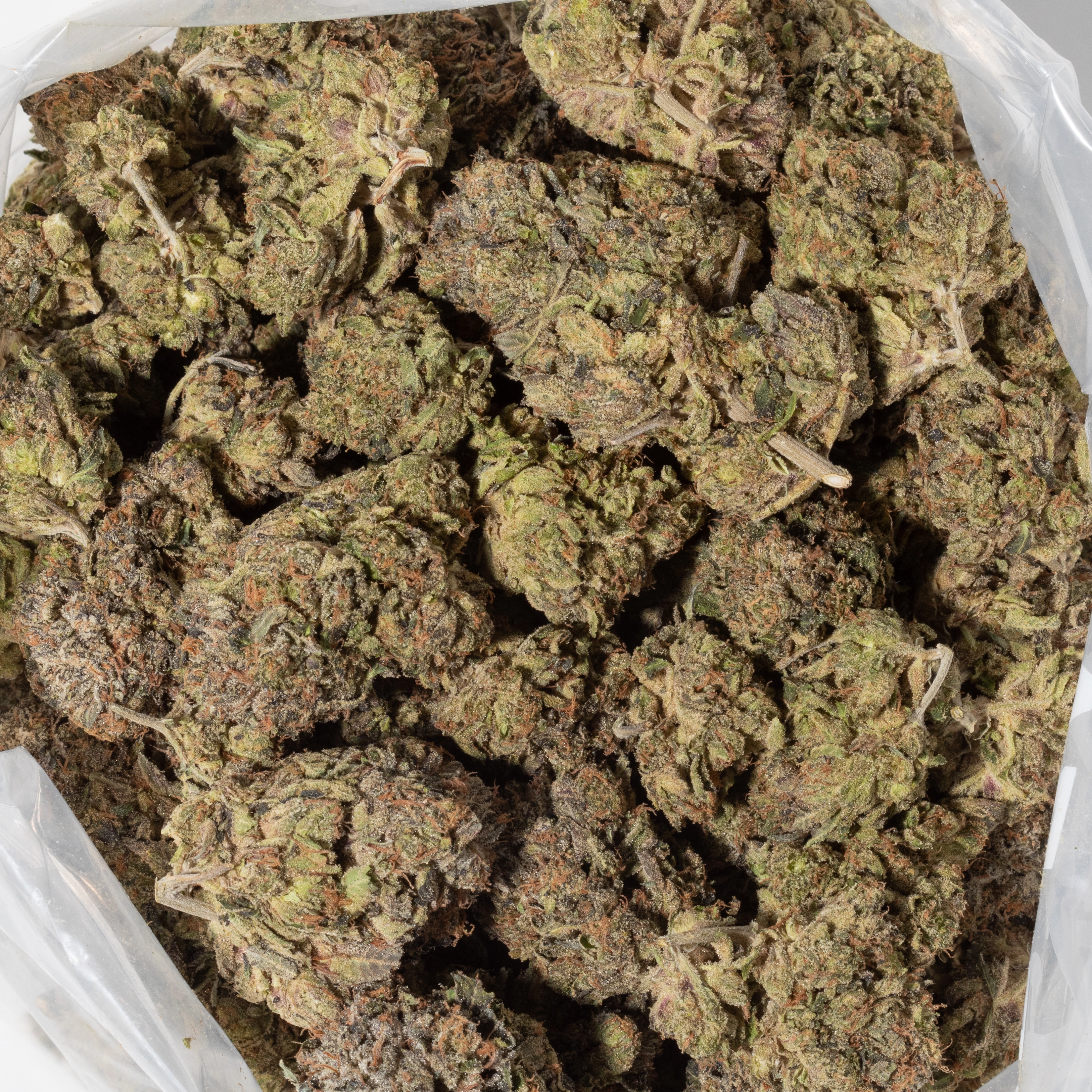 9LB Hammer (AAAA)