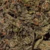 9LB Hammer (AAAA)