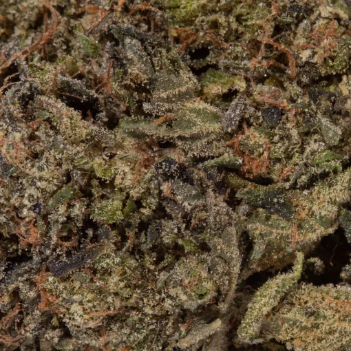9LB Hammer (AAAA)