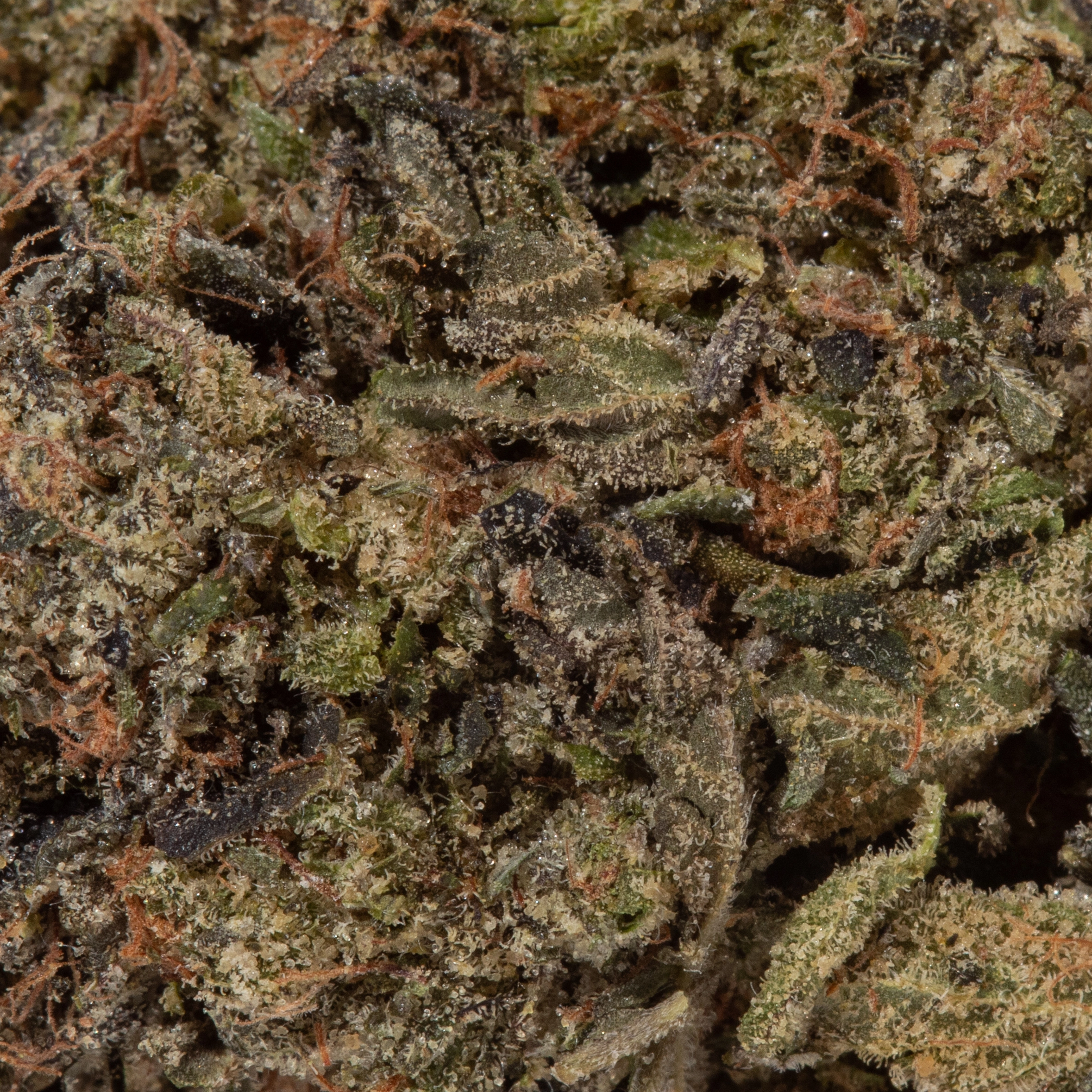 9LB Hammer (AAAA)