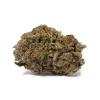 9LB Hammer (AAAA)