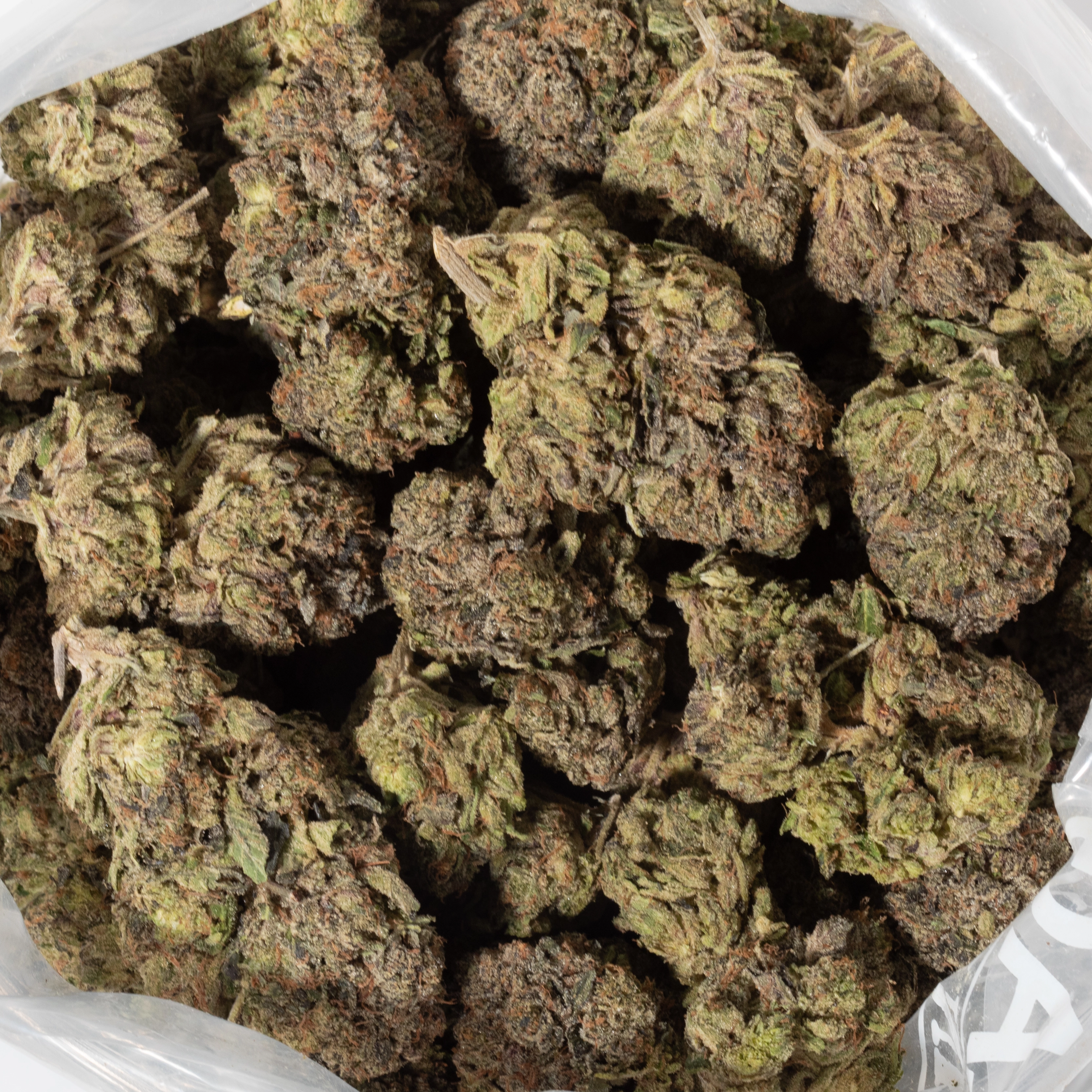 Pink Gas Mask (AAAA)